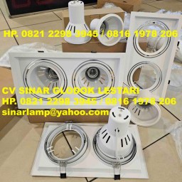Downlight PAR30 E27 Spot Adjustable Fixture 2 Gang